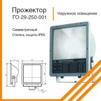 Прожектор ГО-29-250-001 симметричный встроенный ПРА IP65
